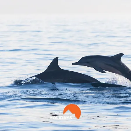 #014 Verissimo Ii By Holidays Appartement Albufeira